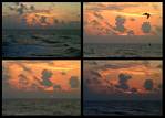 (20) galveston montage.jpg    (1000x720)    271 KB                              click to see enlarged picture